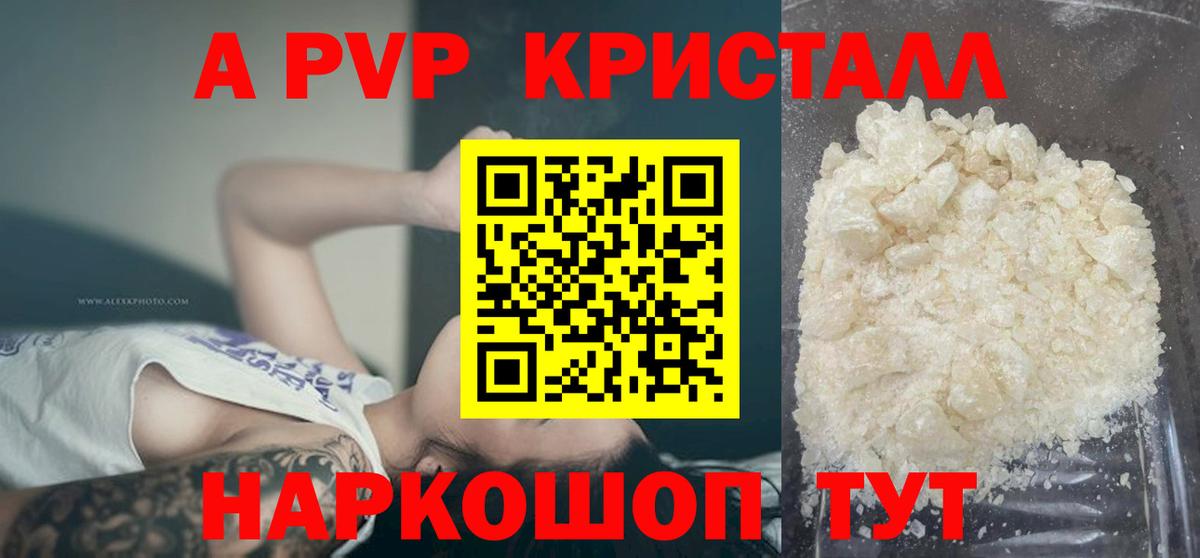 A-PVP СК КРИС Кызыл