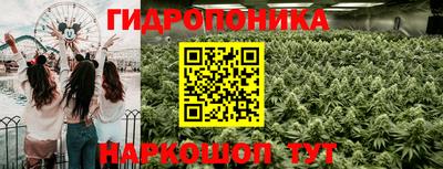 jwh Лесосибирск