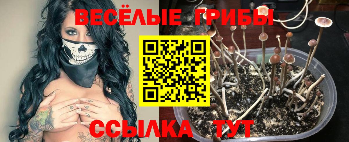 Галлюциногенные грибы ЛСД Кызыл