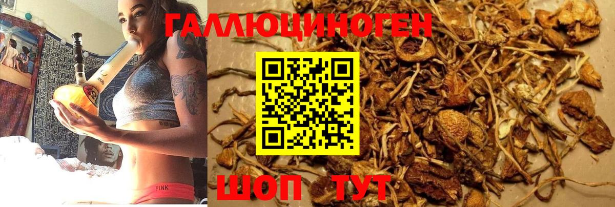 Кызыл  Псилоцибиновые грибы Psilocybe  что такое наркотик  Вход с VPN 